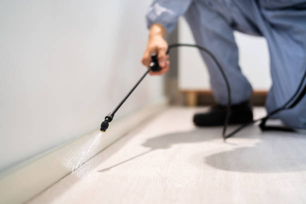 Licensed Rodent Control service in Pulaski County County, IL - Nex Pest Control