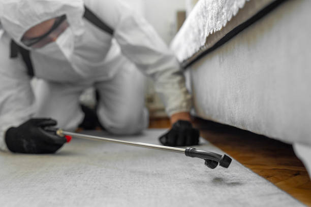 Professional Rodent Control technician working in Pulaski County County, IL